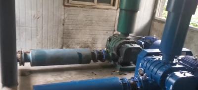 污水處理廠(chǎng)羅茨車(chē)鼓風(fēng)機(jī)